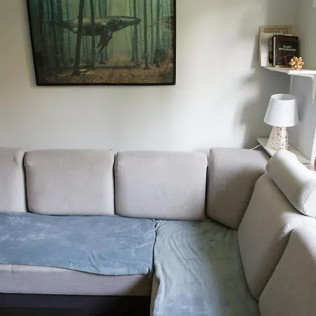 Pod Wielorybem Апартаменты *